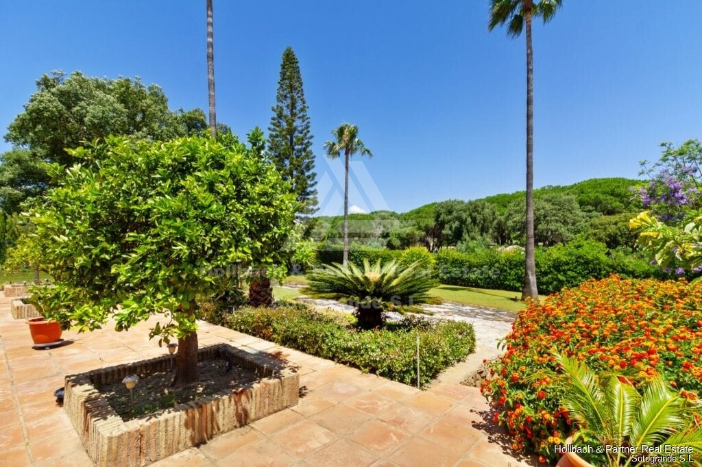 Property picture