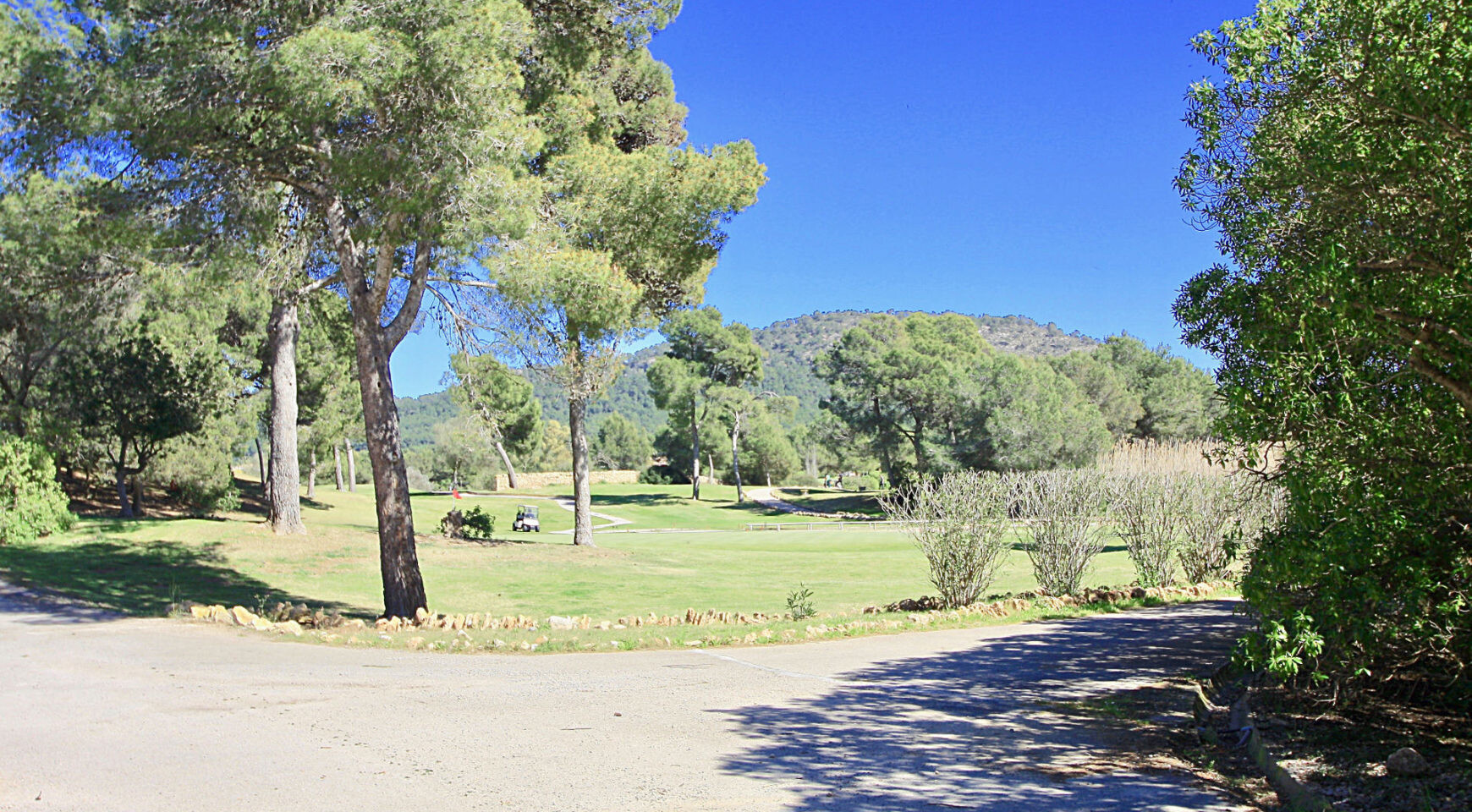 Property (commercial use) centrally located directly at the golf course