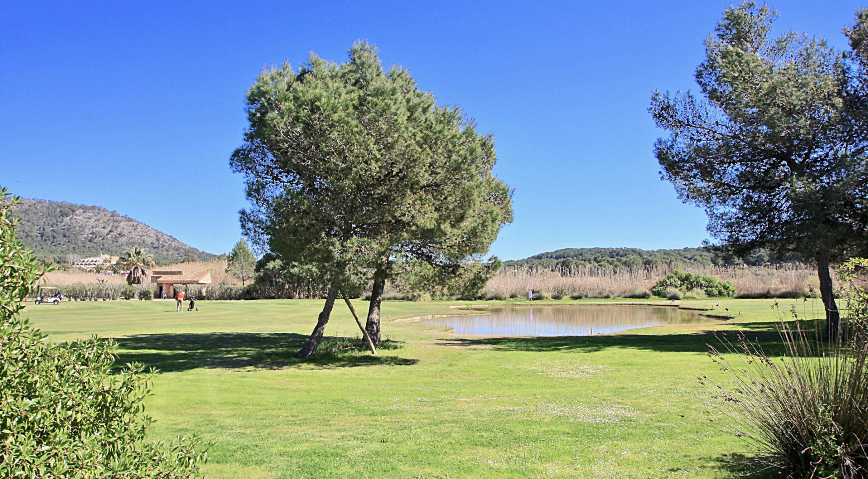 Property (commercial use) centrally located directly at the golf course