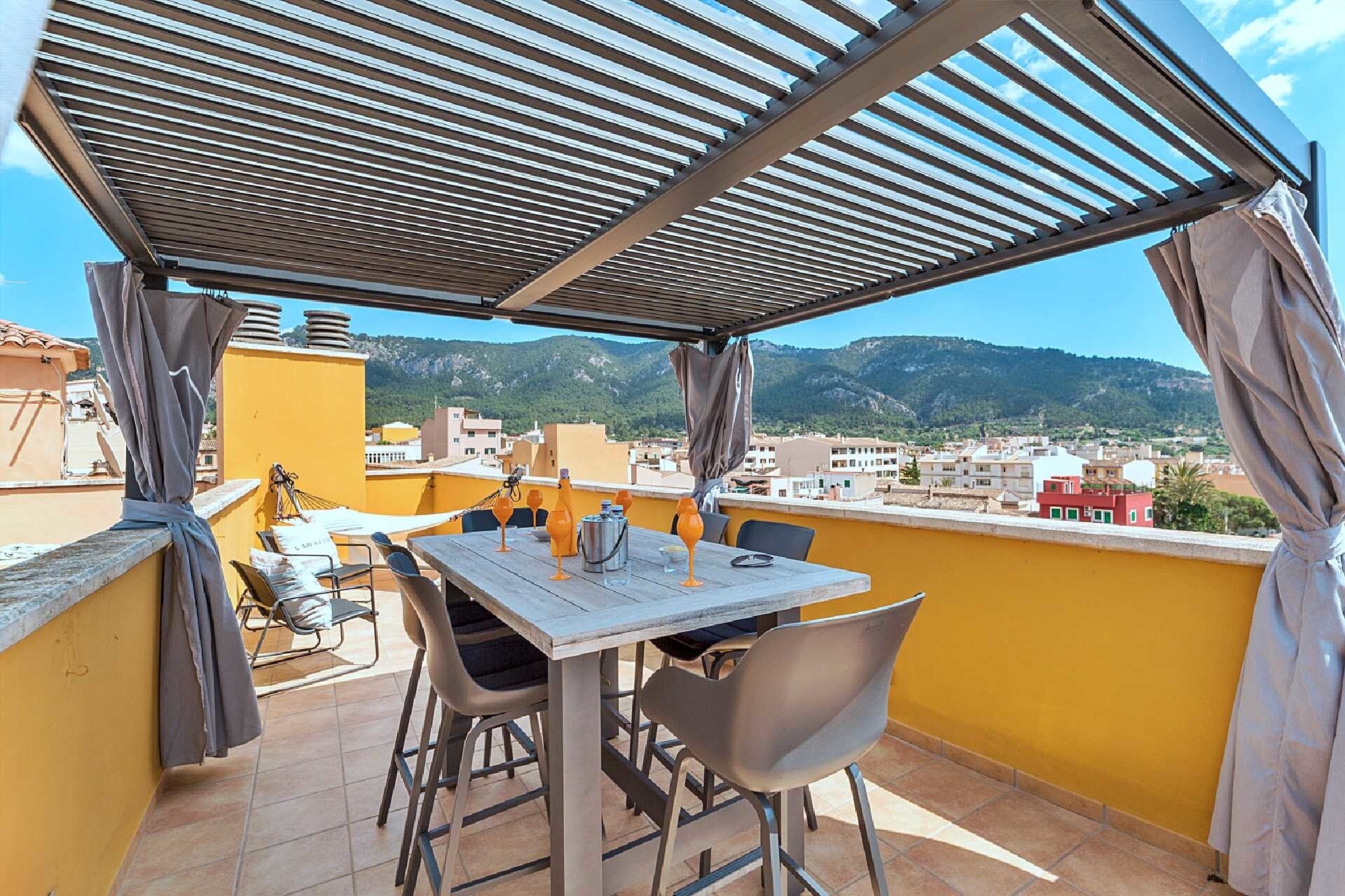 Penthouse with roof terrace and harbor view