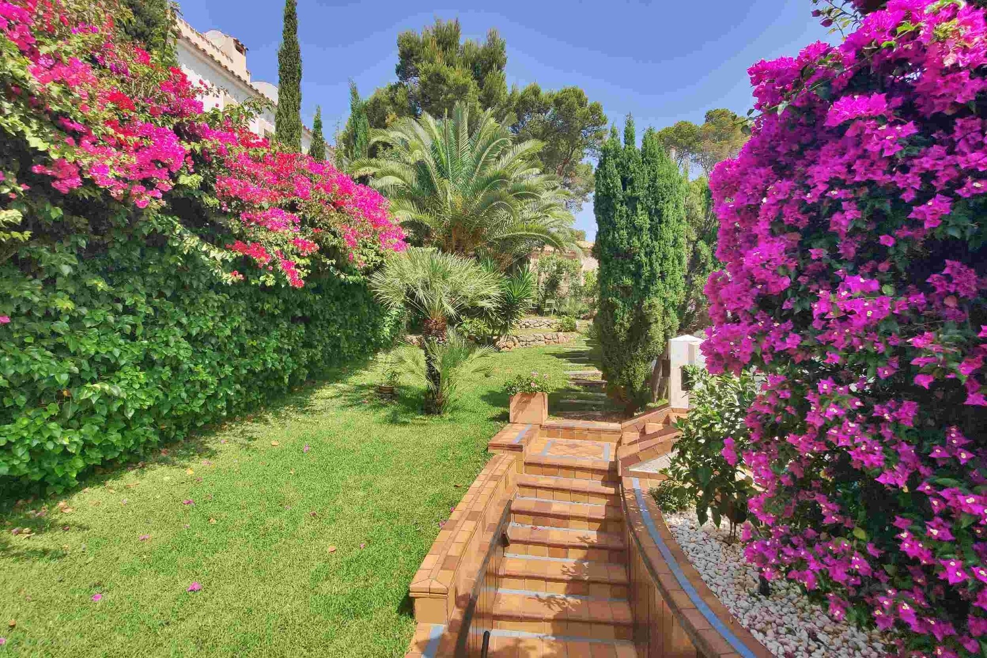 Dream villa by architect Rubio near the port