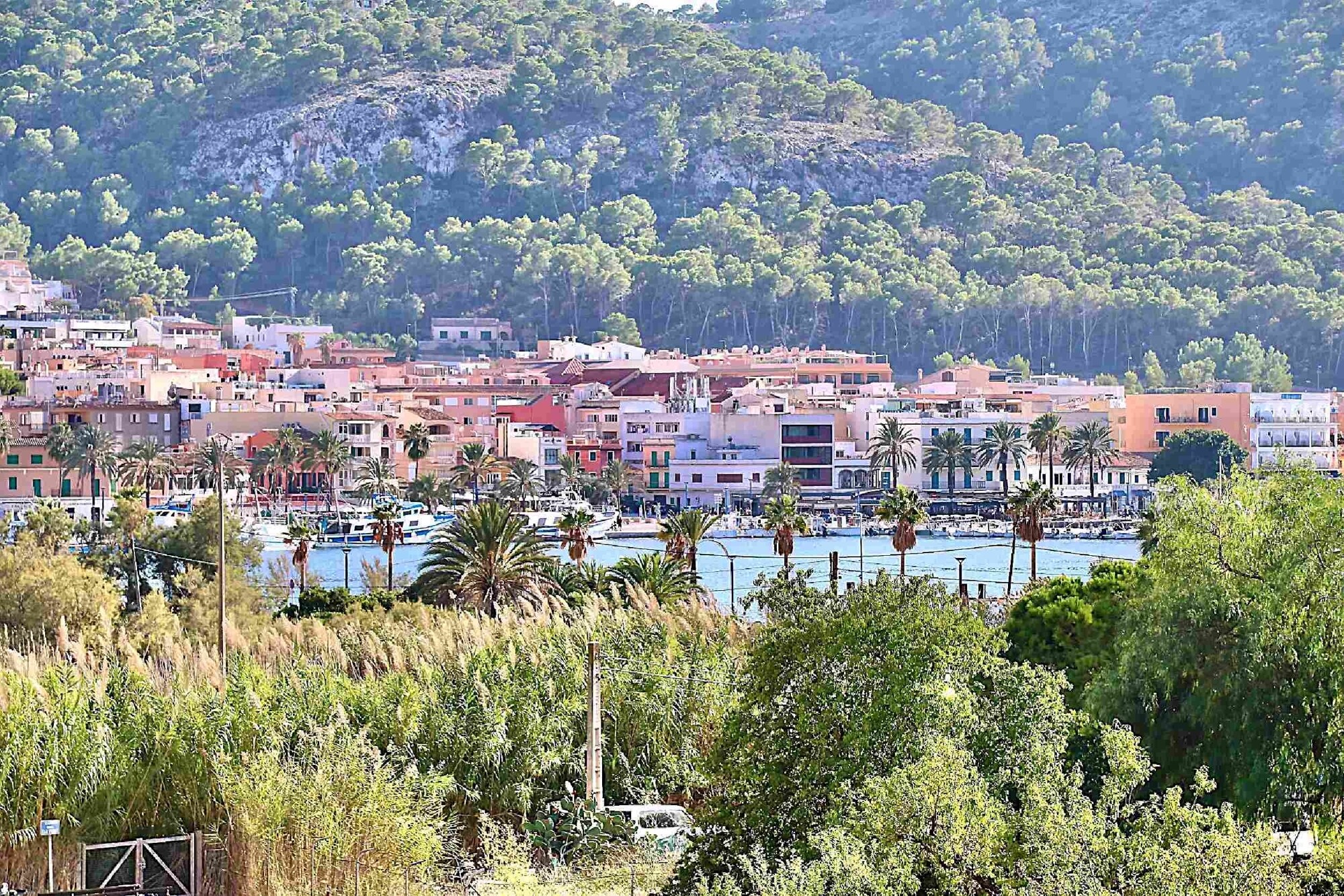 Apartment in well-kept complex with swimming pool near the harbor