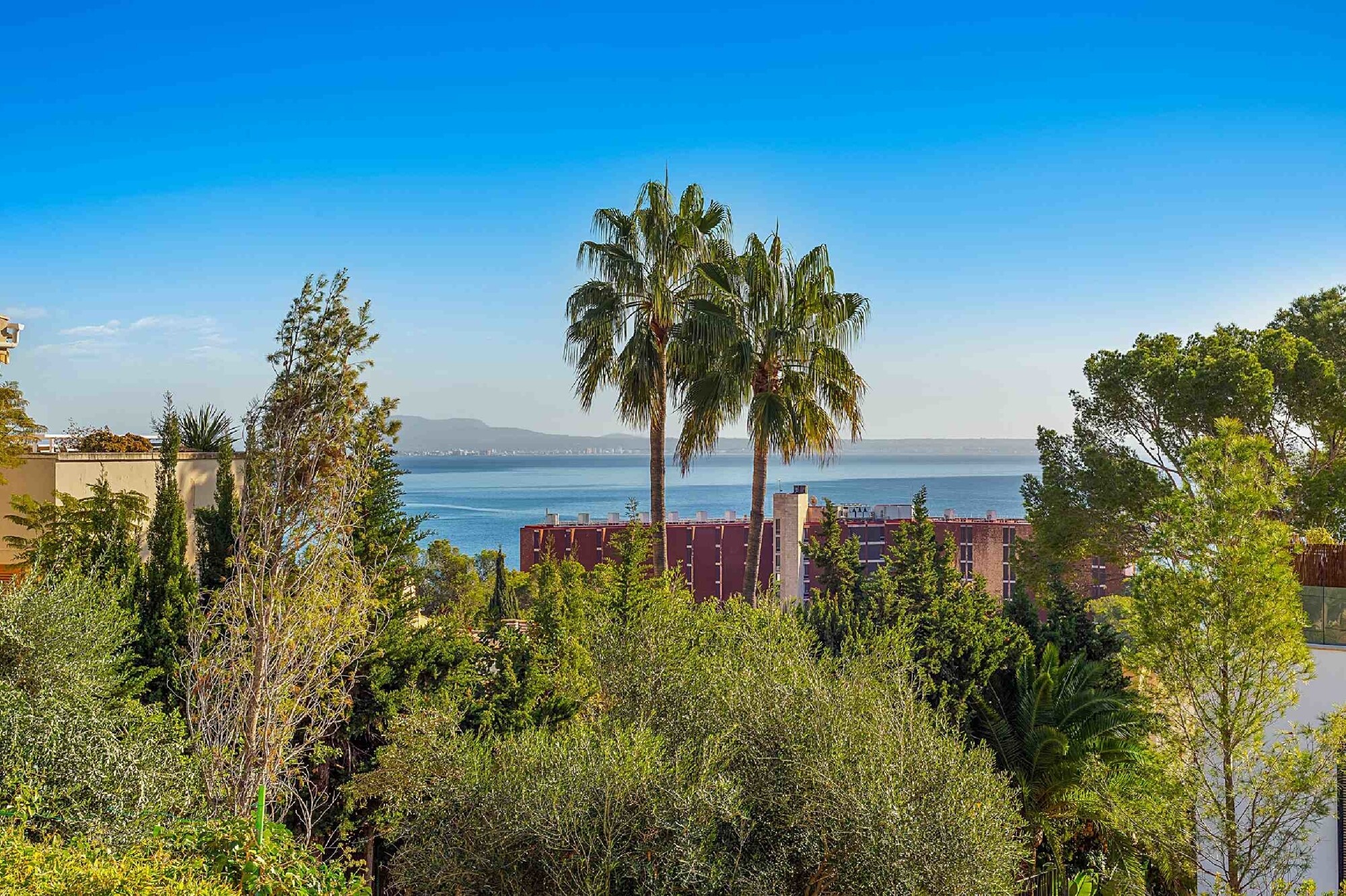 Spacious apartment with garden and sea view