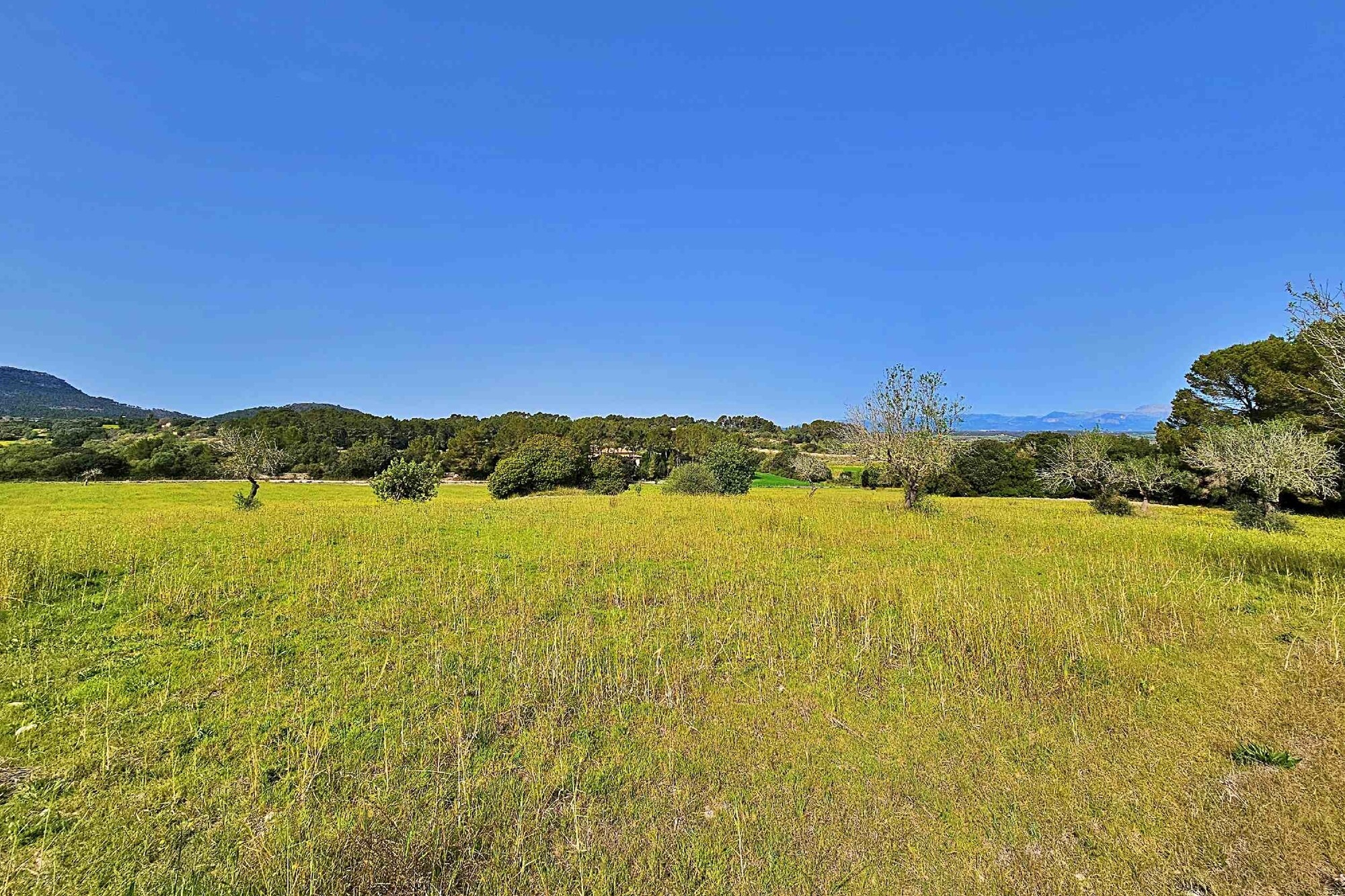 Country house with lots of potential including rental license