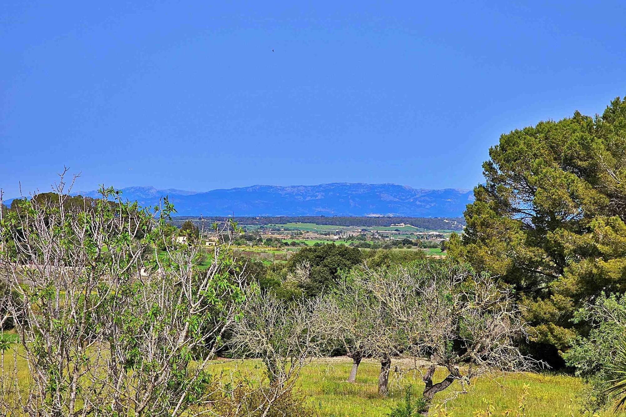 Country house with lots of potential including rental license