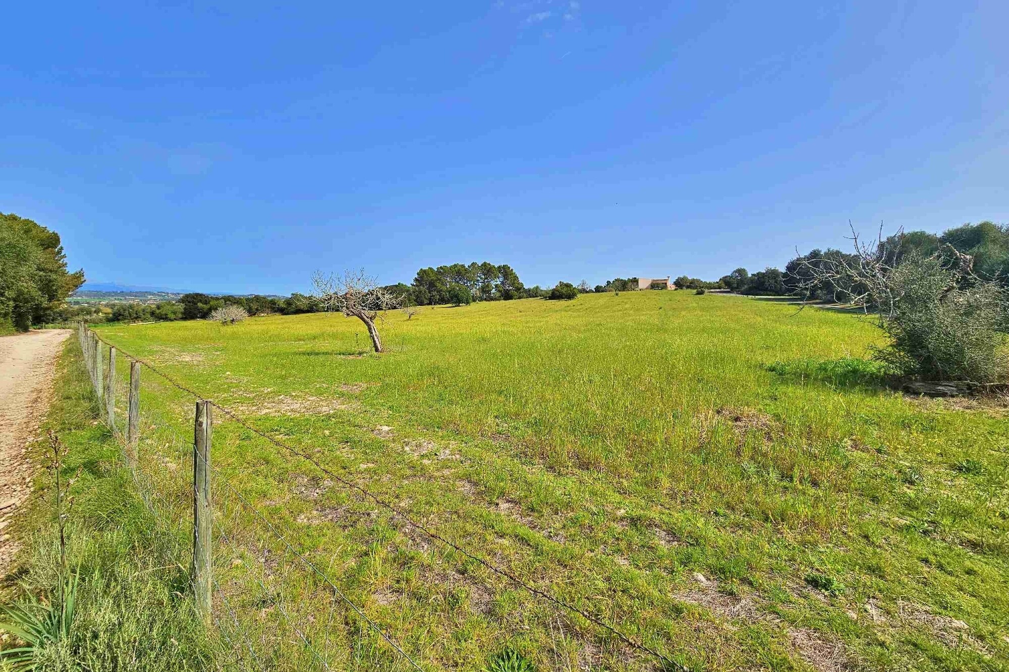 Country house with lots of potential including rental license