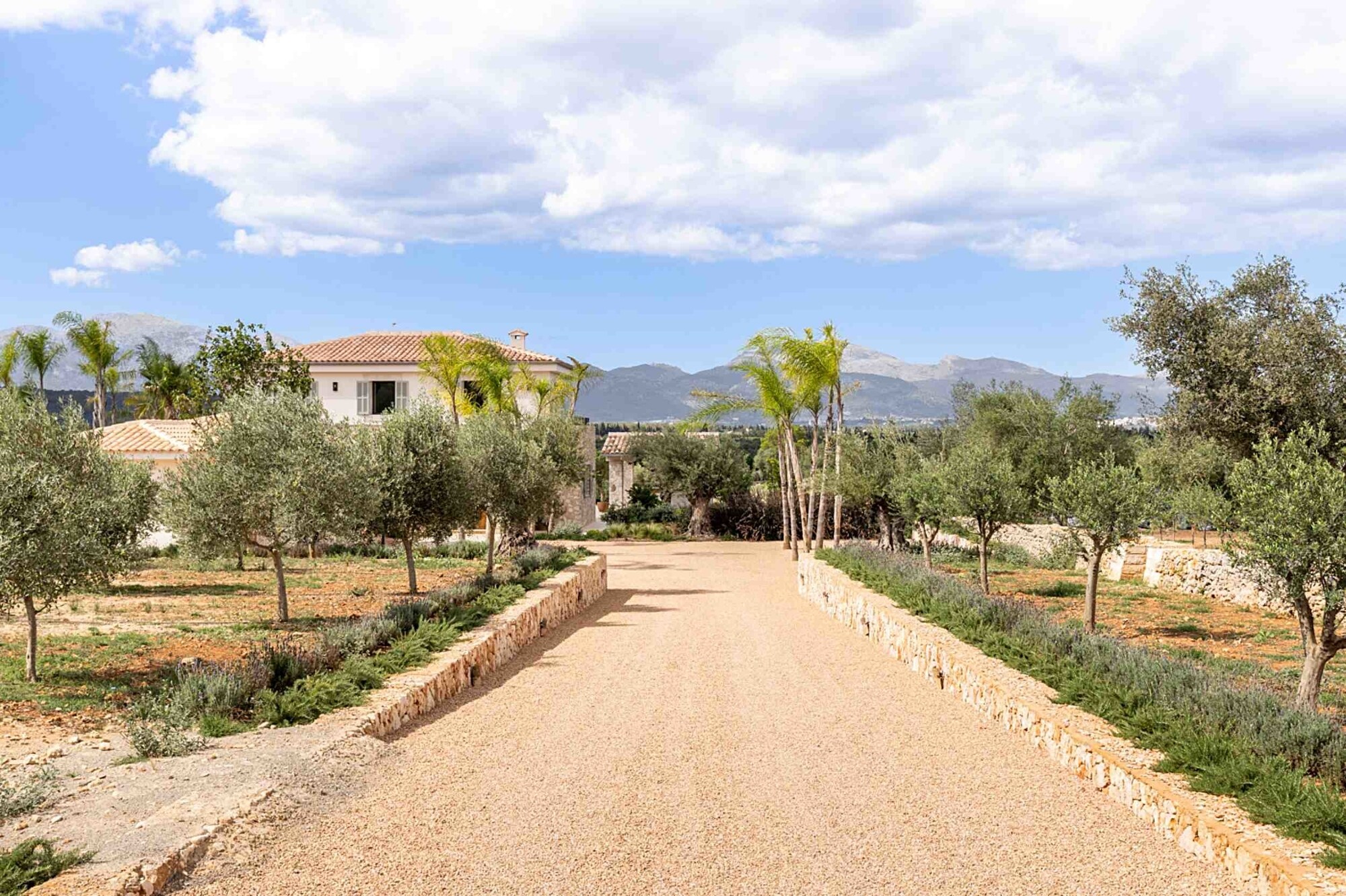 NEW CONSTRUCTION (Completed): Modern finca with swimming pool