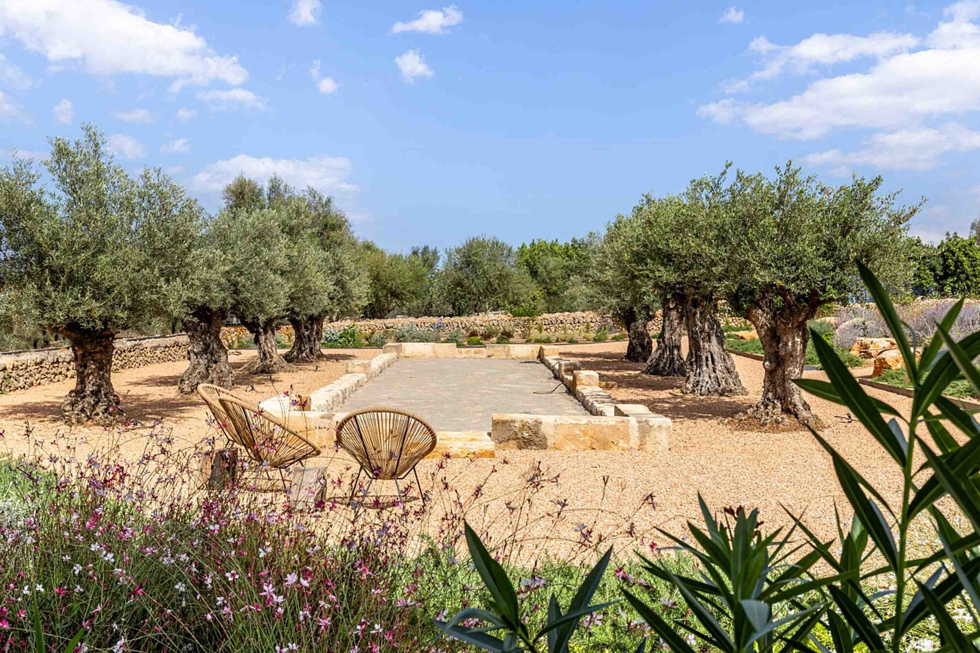 NEW CONSTRUCTION (Completed): Modern finca with swimming pool