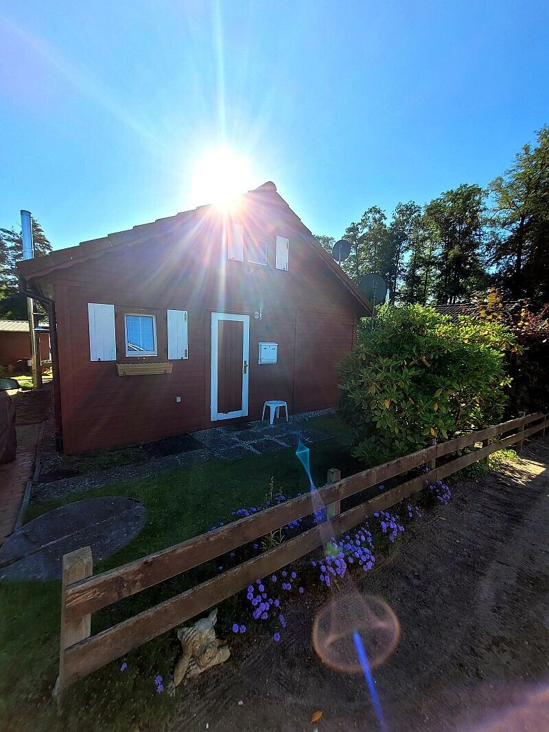 sonniger Gruß