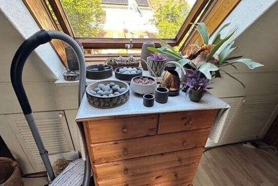 Dachfenster 18a