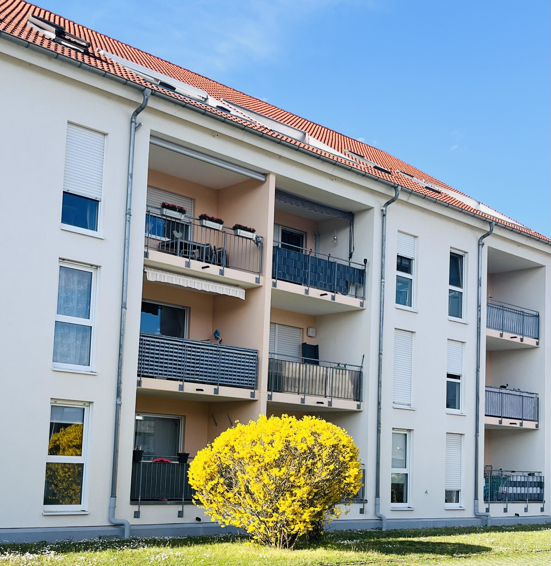 Immobilienbild