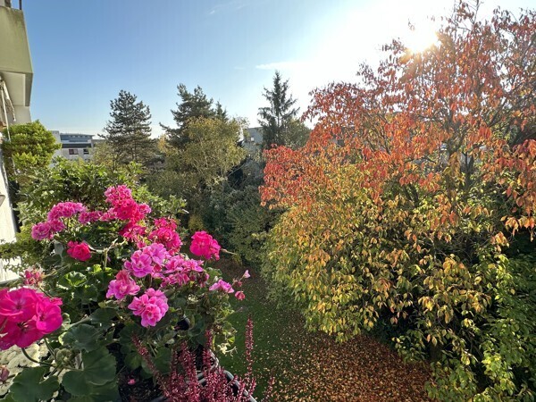 Ausblick Balkon