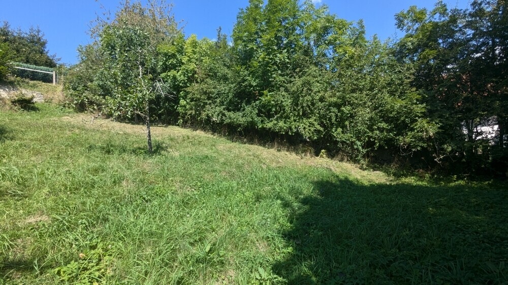 Blick auf das Grundstück