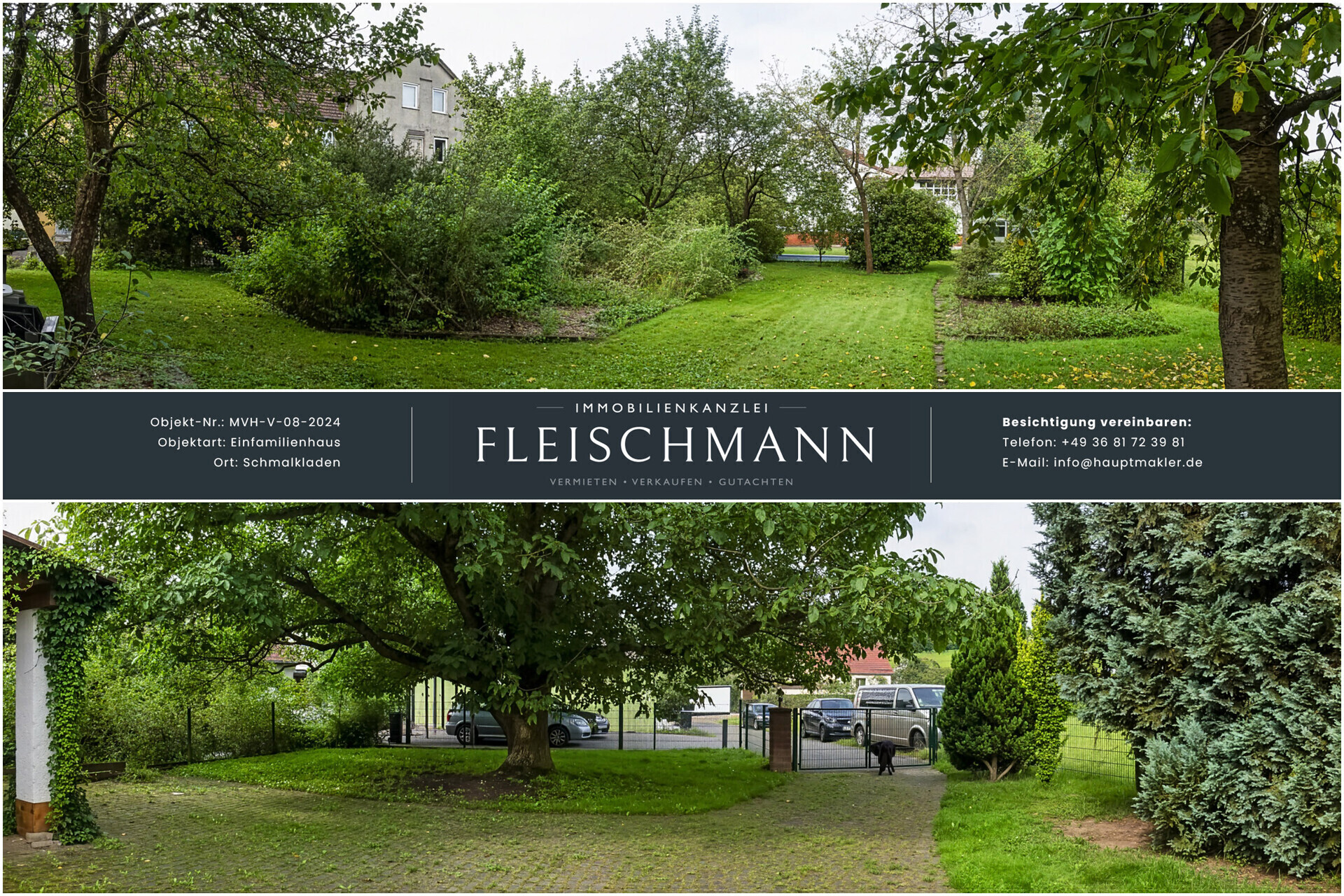 Blick in den Garten