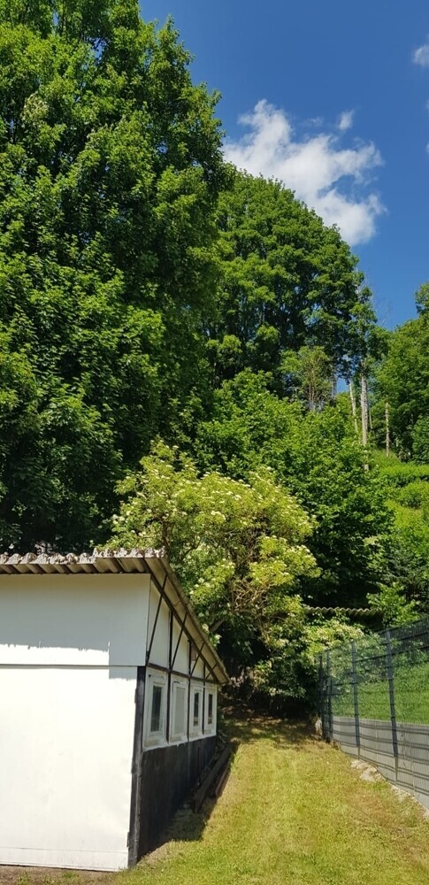 Zum Hang
