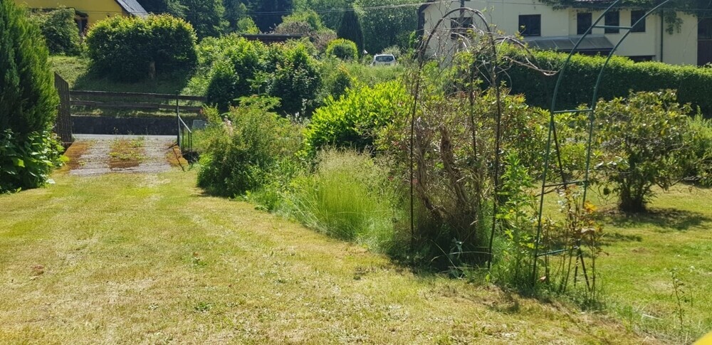 Blick auf das Grundstück
