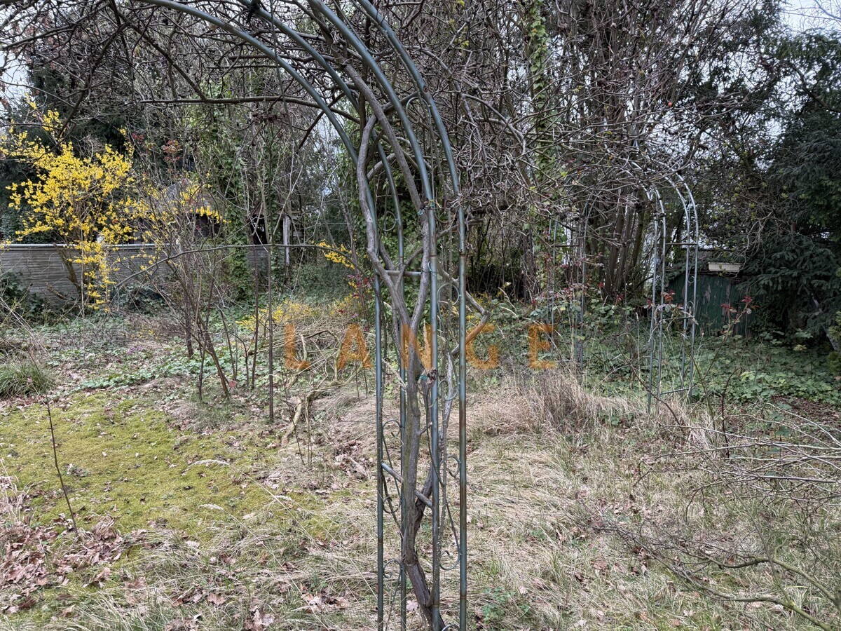 Garten Ist-Zustand