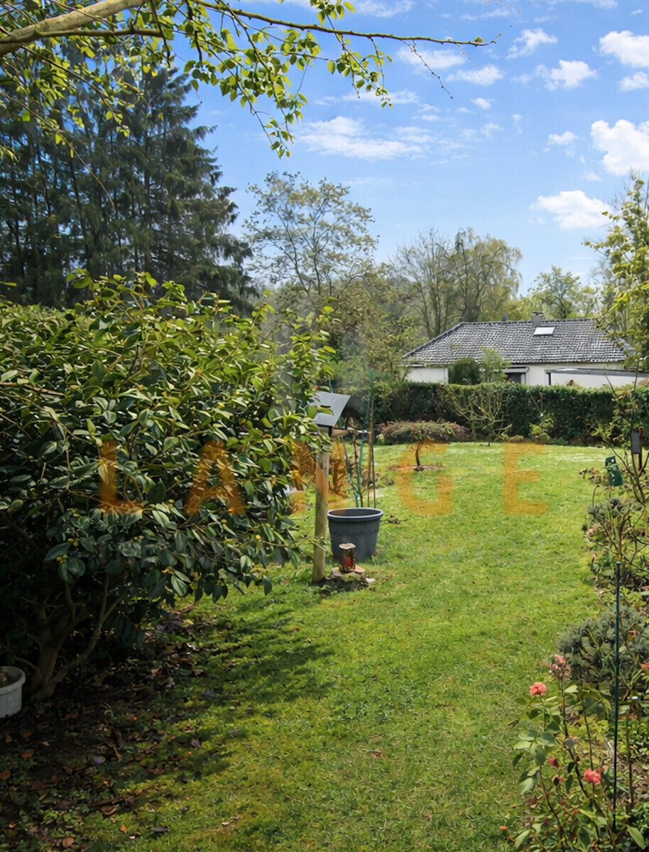 Blick in den Garten