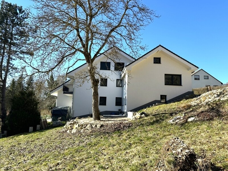 Hausansicht Ost neu n