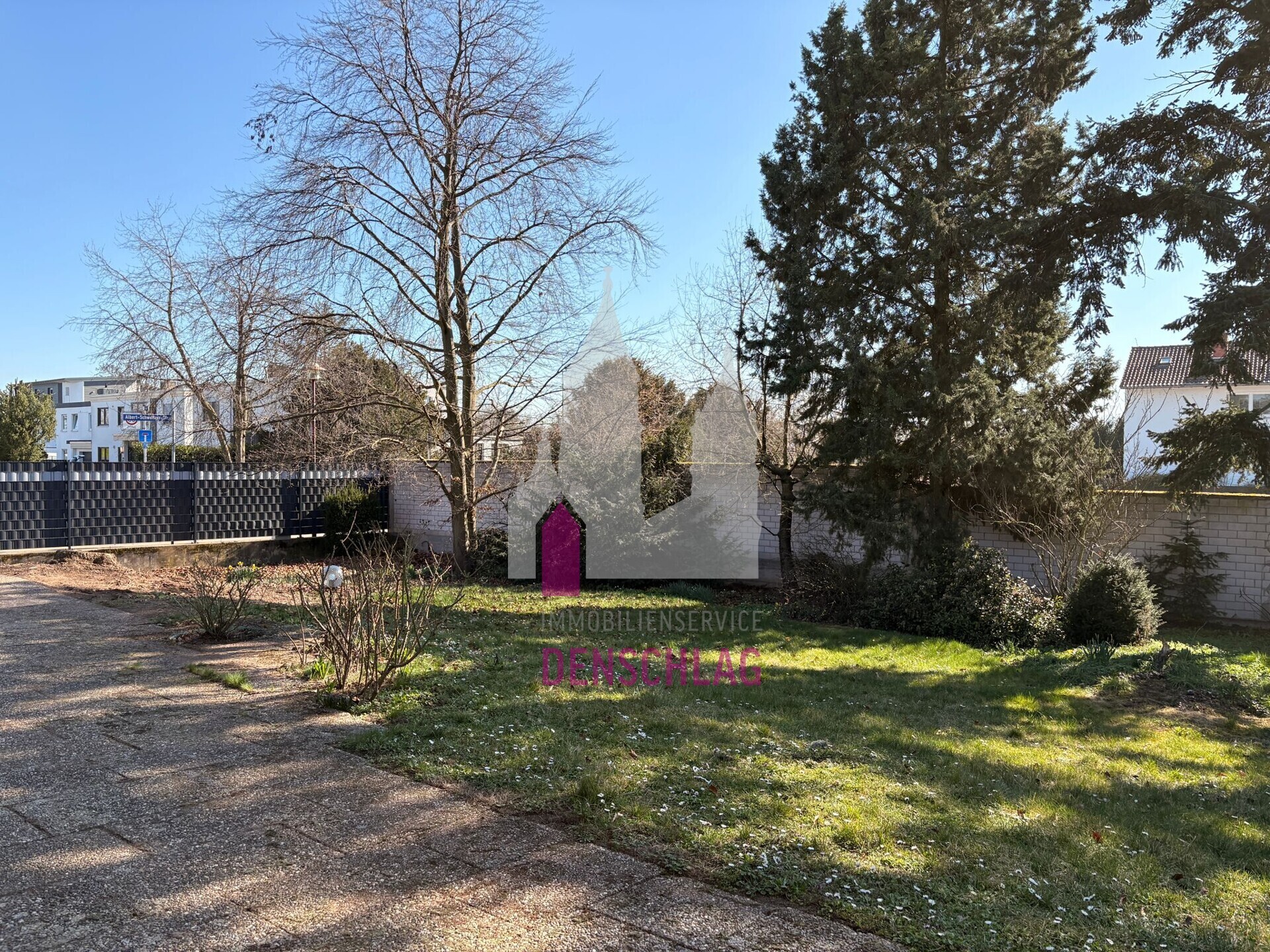 GartenImage 2026-03-02 at 15.37.21