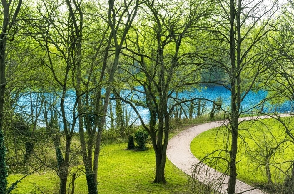Halensee_Blick