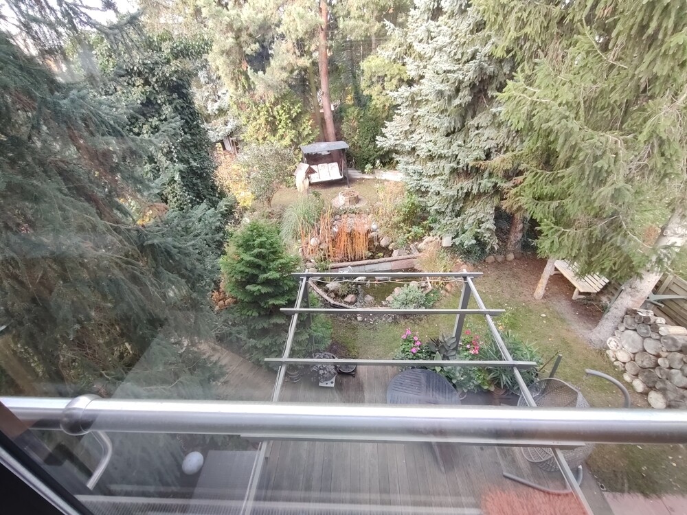 Blick in den Garten