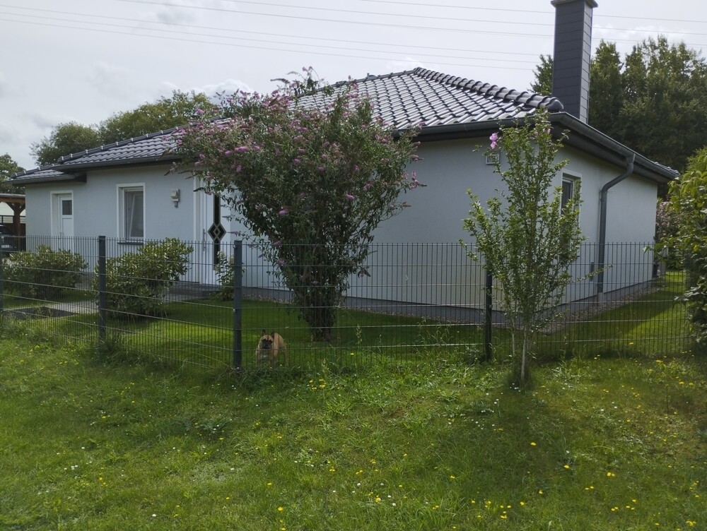 Beispielfoto