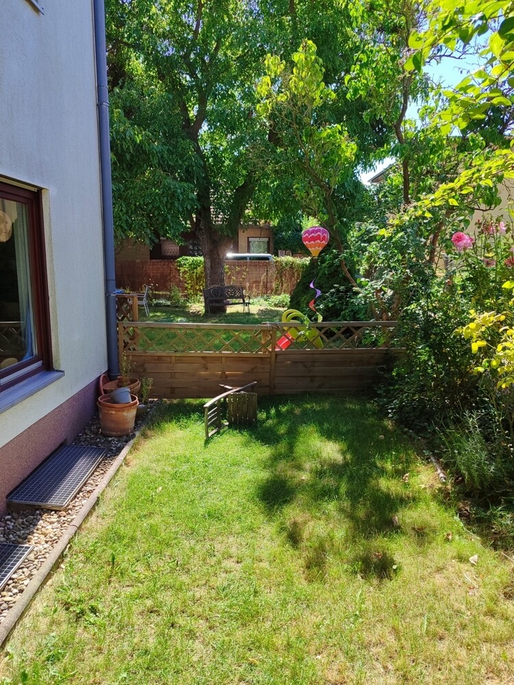 Blick in Garten