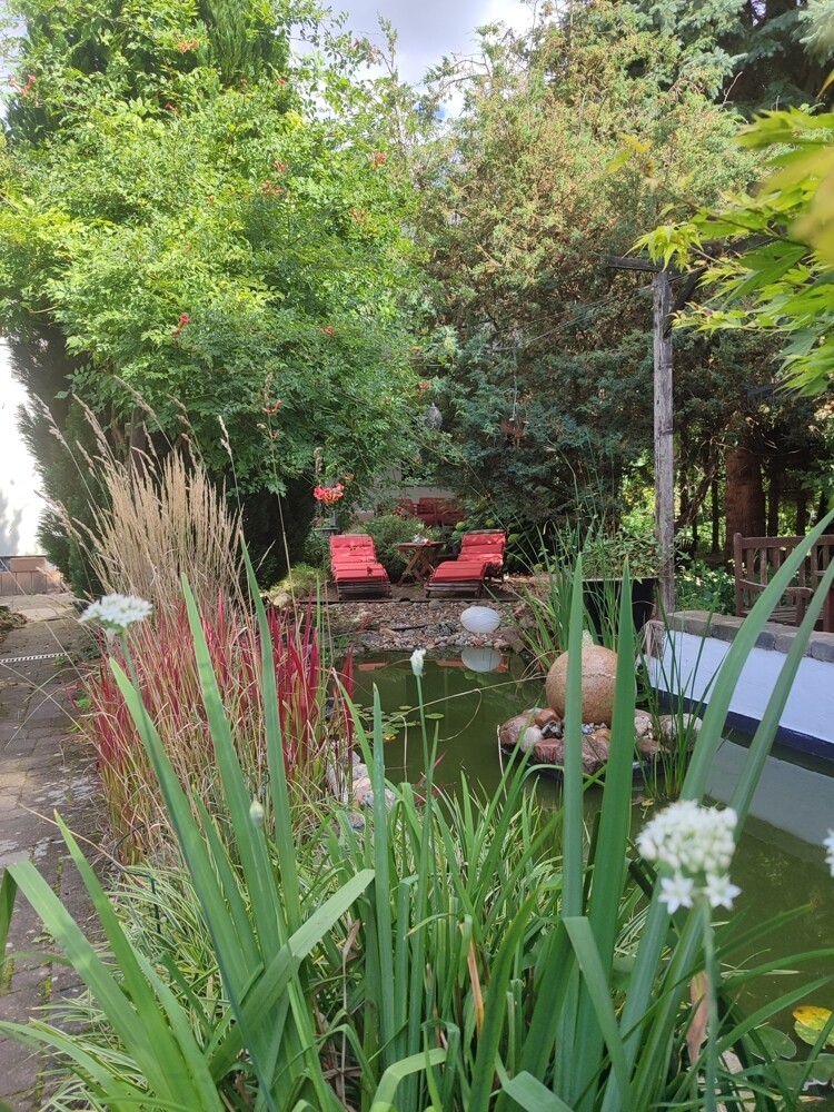 Blick durch den Garten