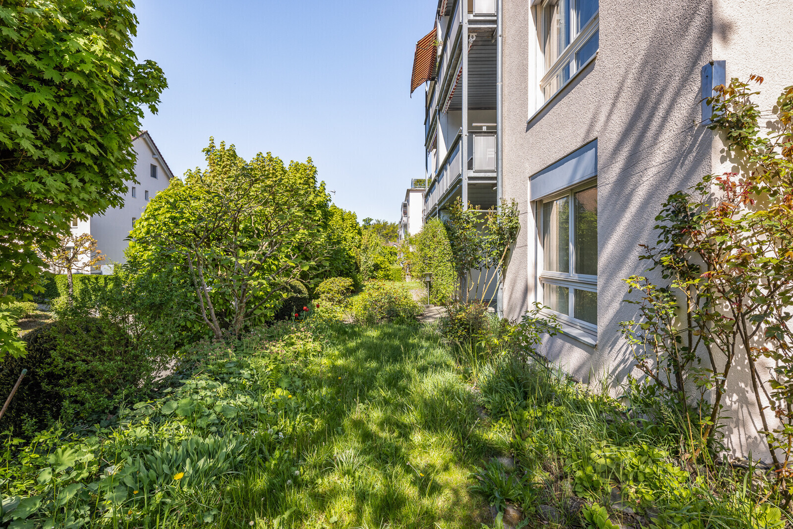 Immobilienbild