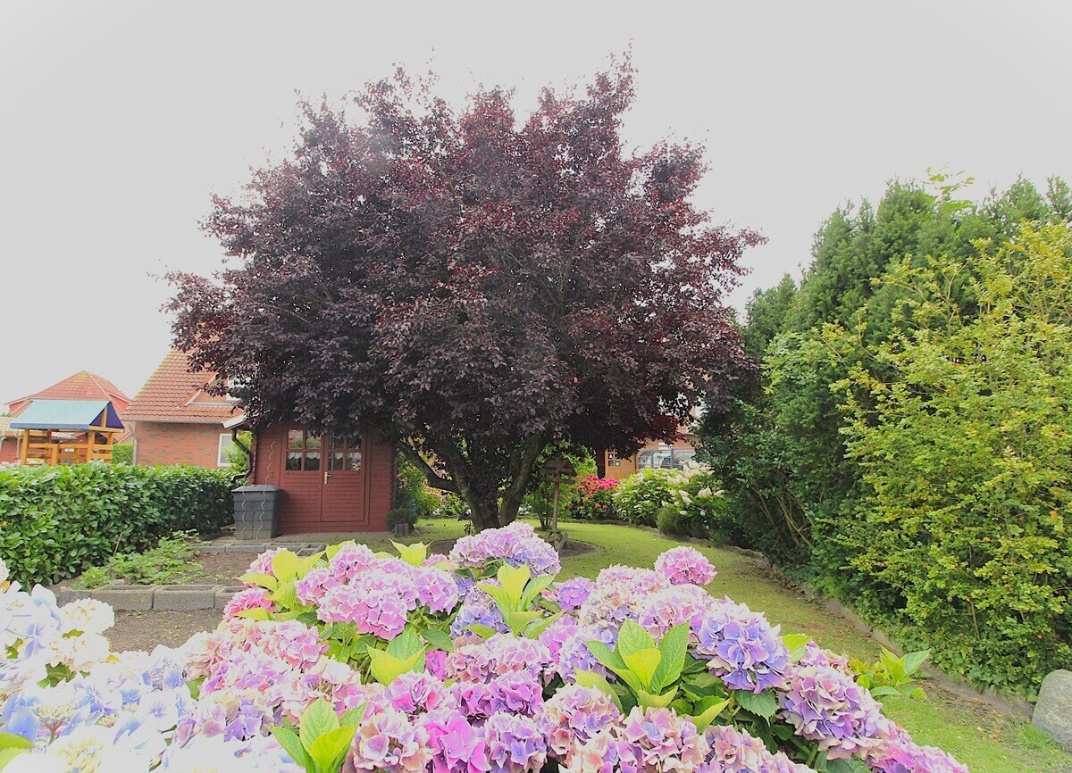 Blick in den Garten 1.2