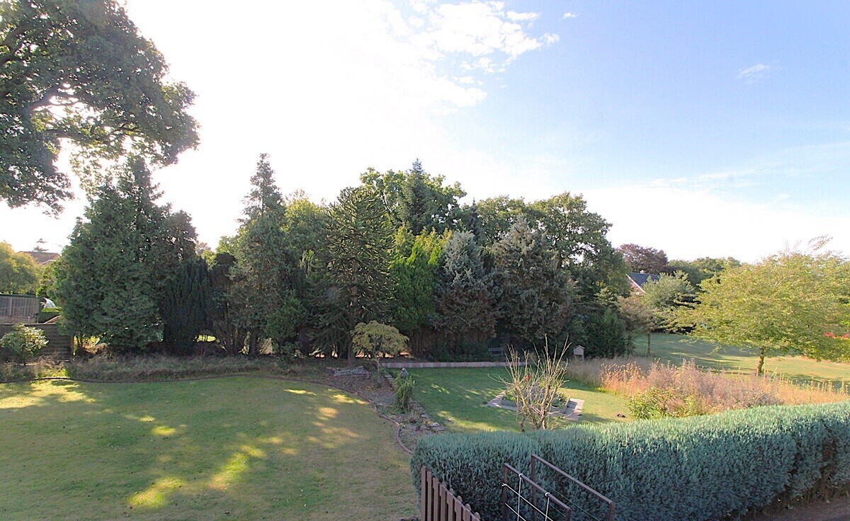 Gartenblick 4