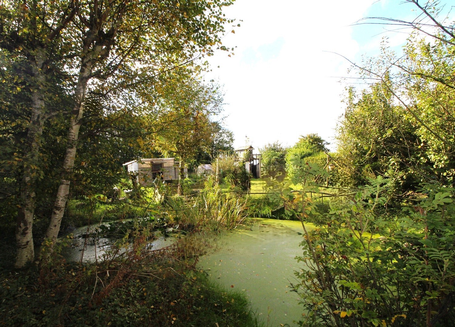 Garten 1.1