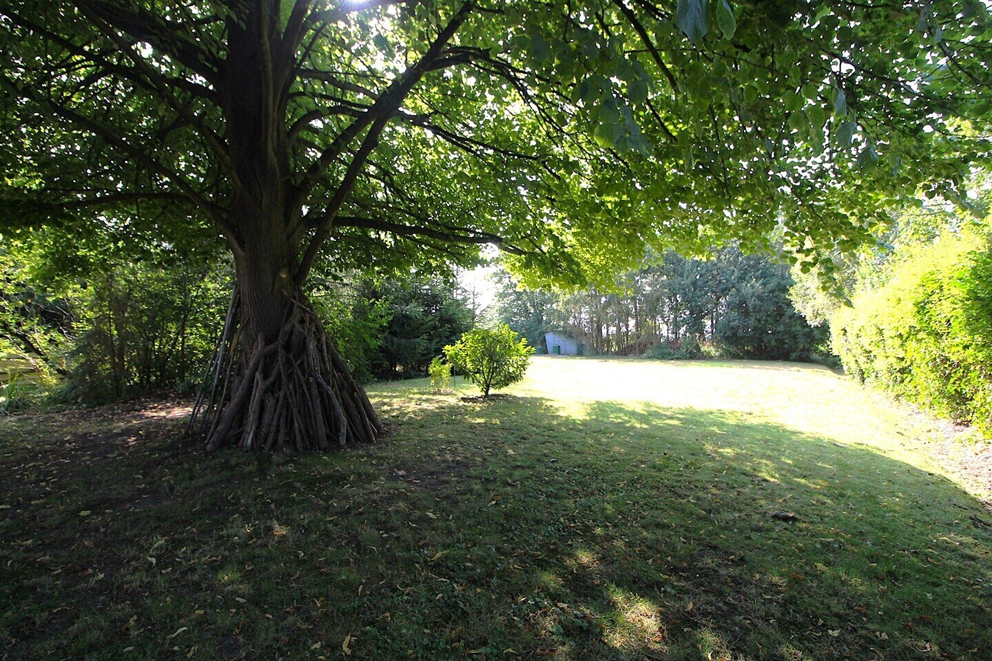 Außen Grundstück 1