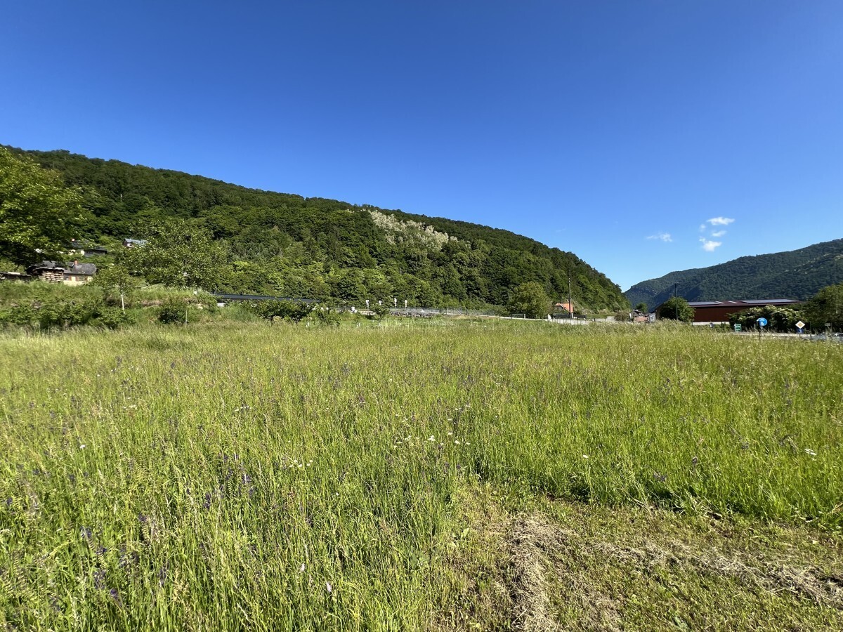 Immobilienbild