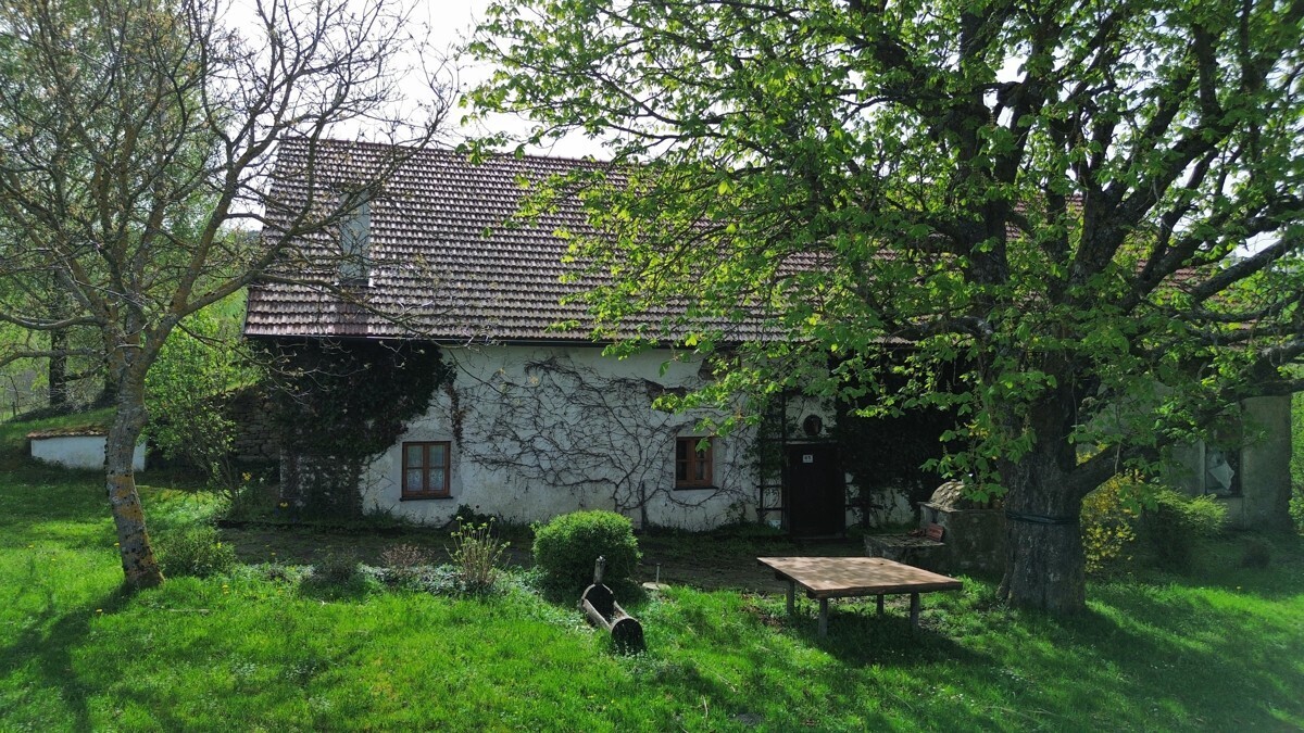 Immobilienbild