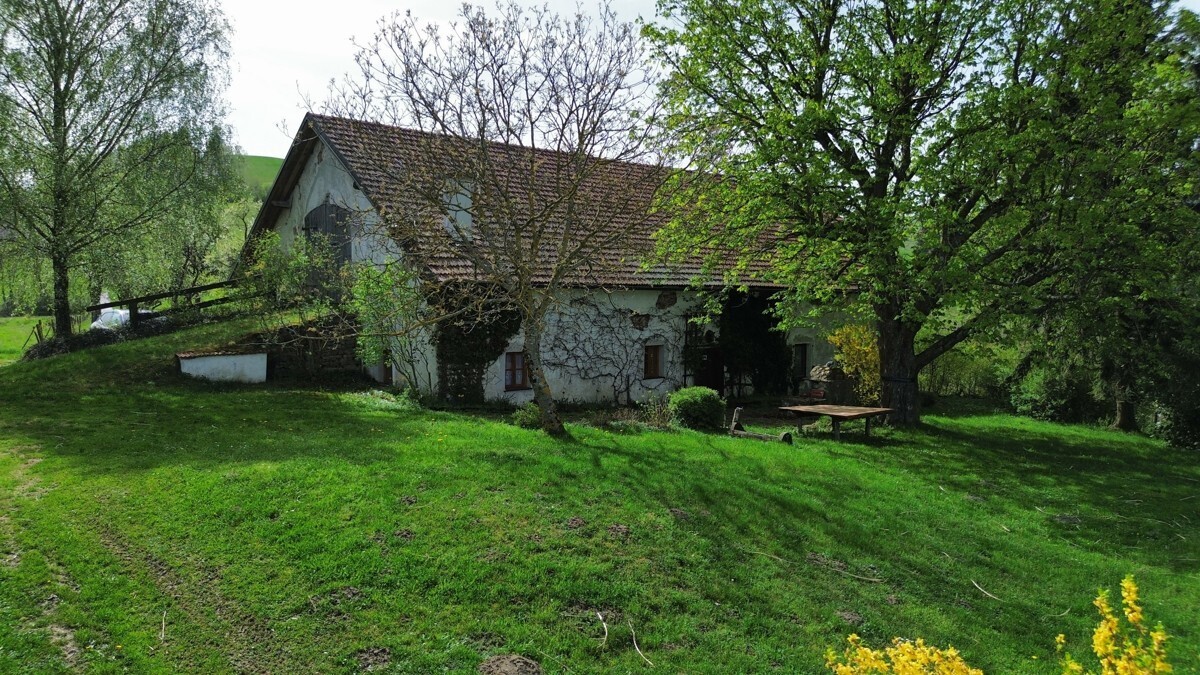 Immobilienbild
