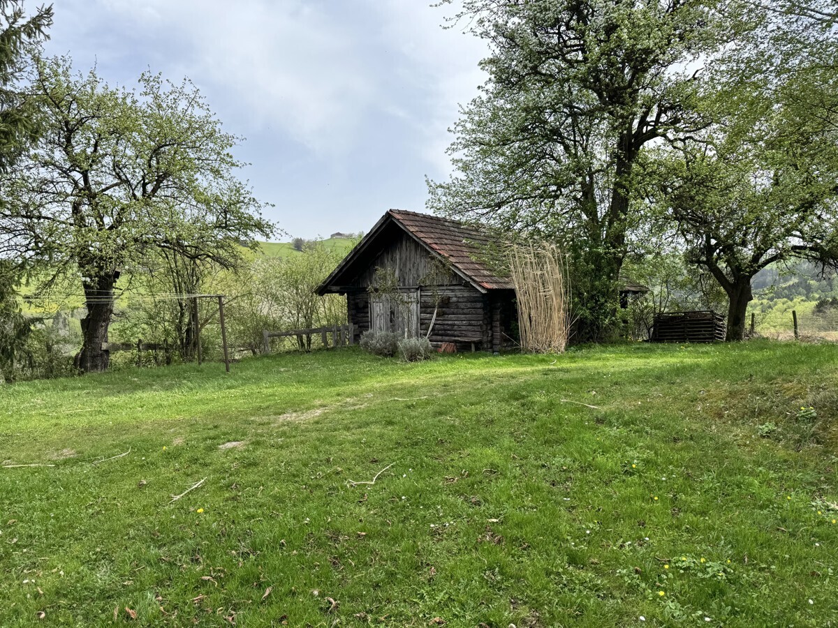 Immobilienbild
