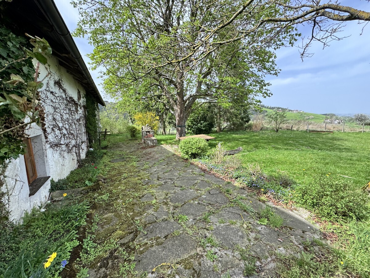 Immobilienbild