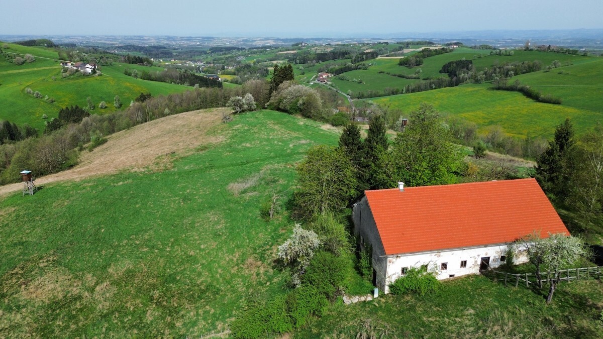 Immobilienbild