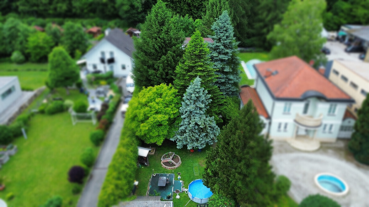 Immobilienbild