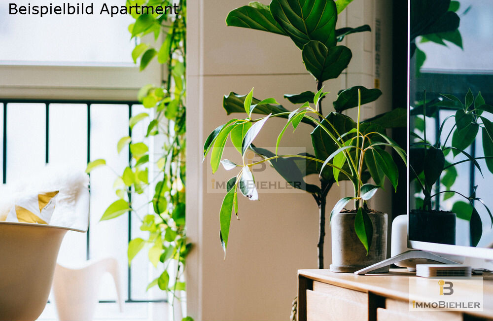 Beispielbild Appartment