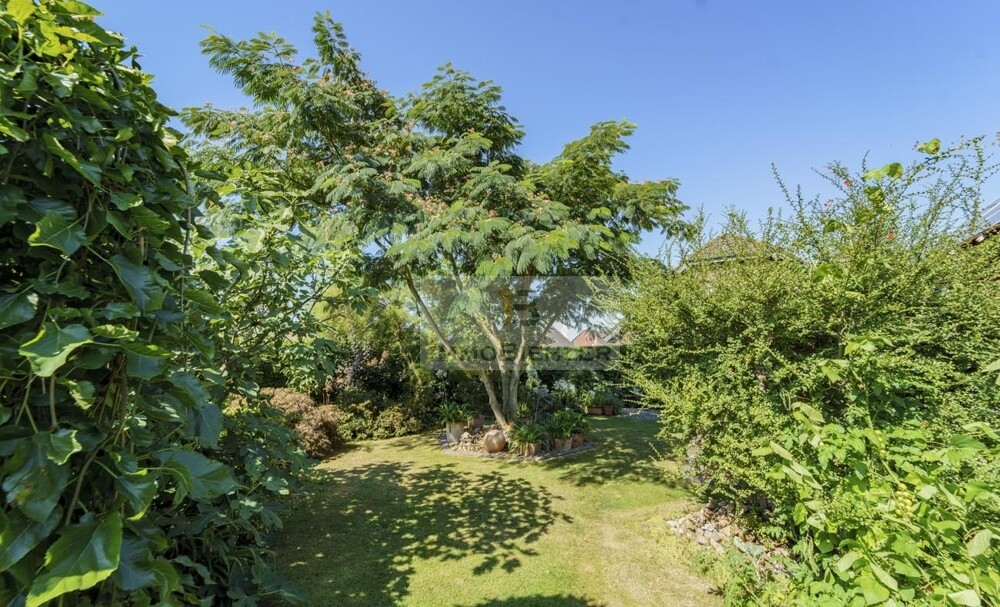 Idylle im Garten