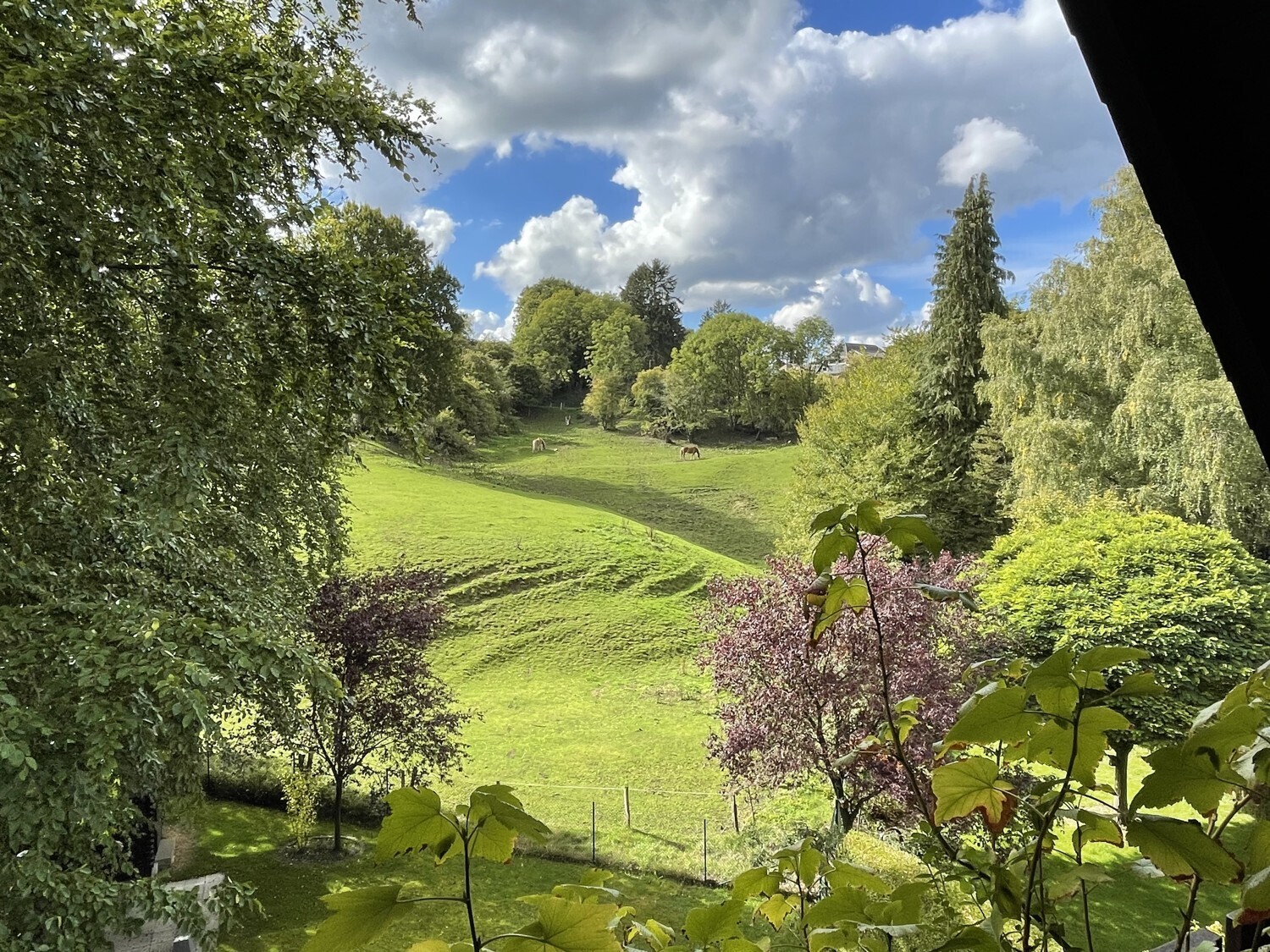 Aussicht 