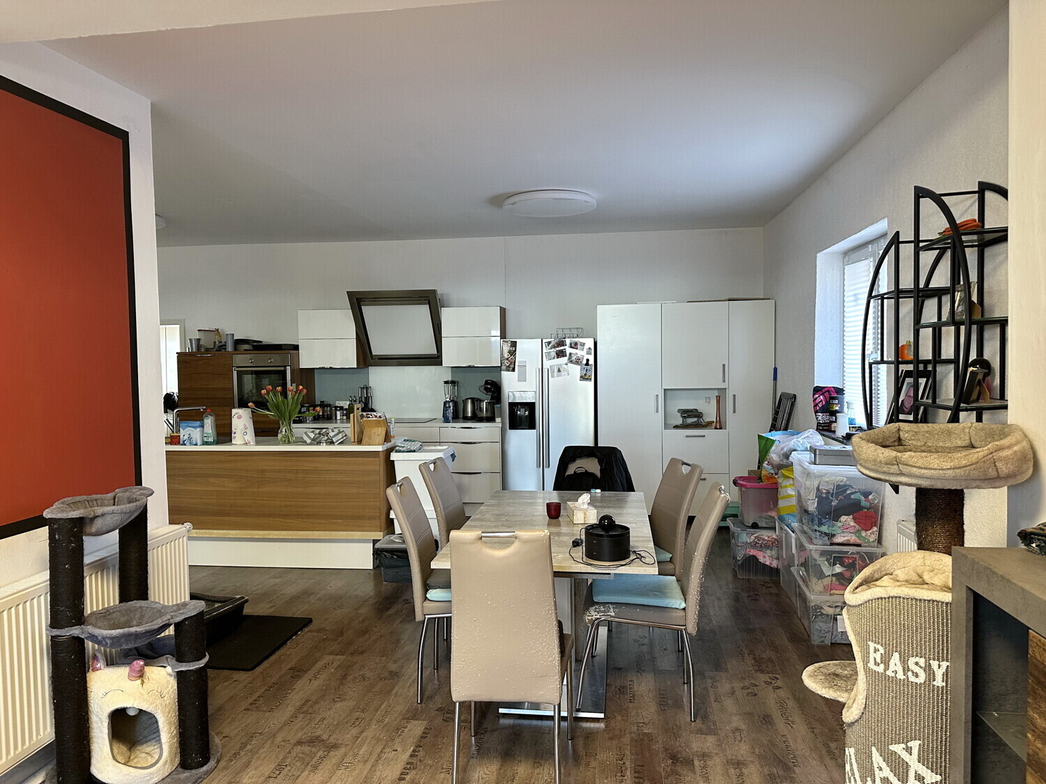 EG - Wohnzimmer / Küche / Essbereich