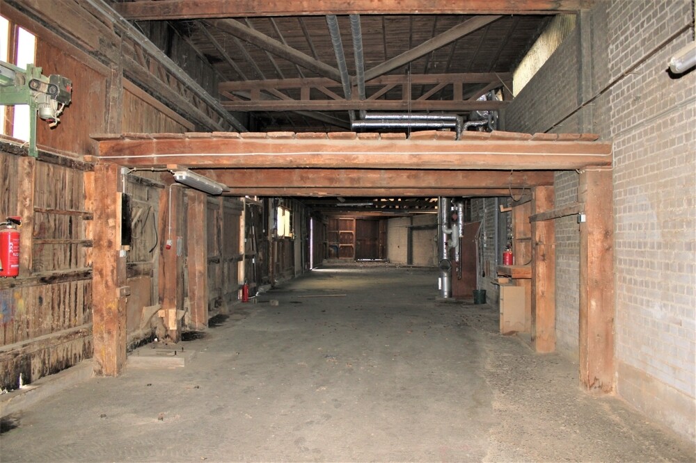 Halle