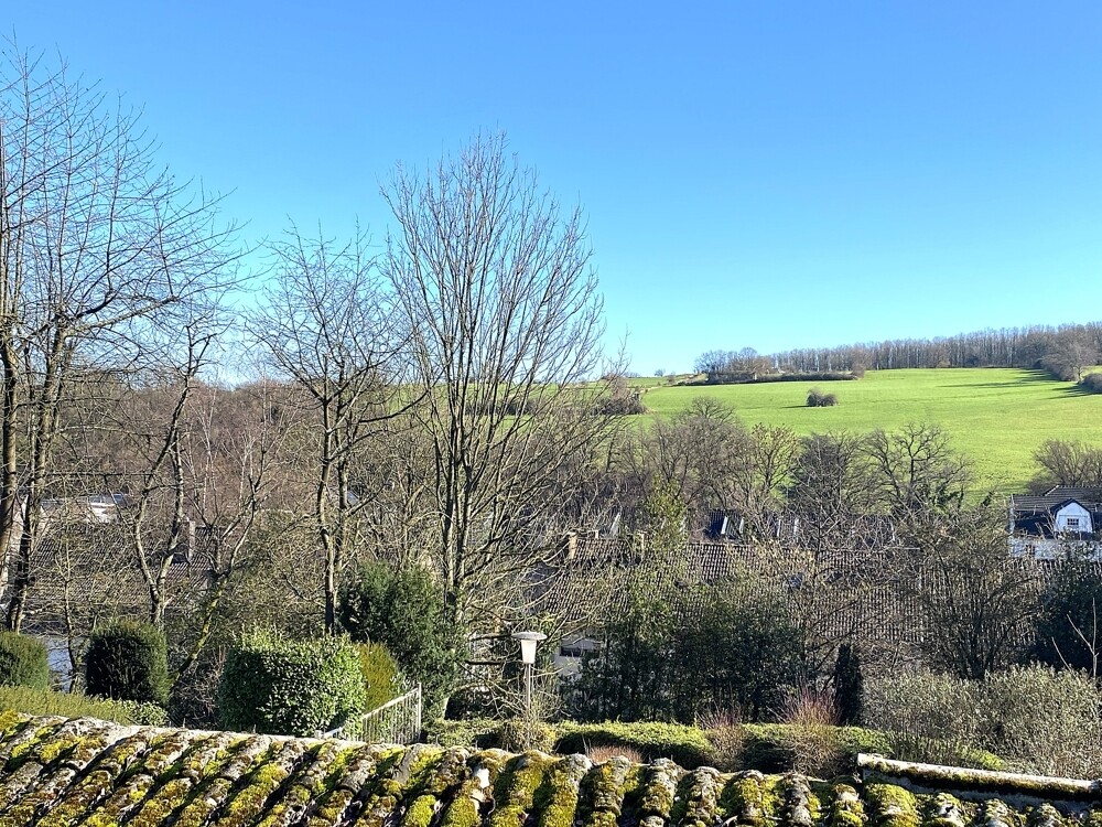Blick vom Gartenhaus