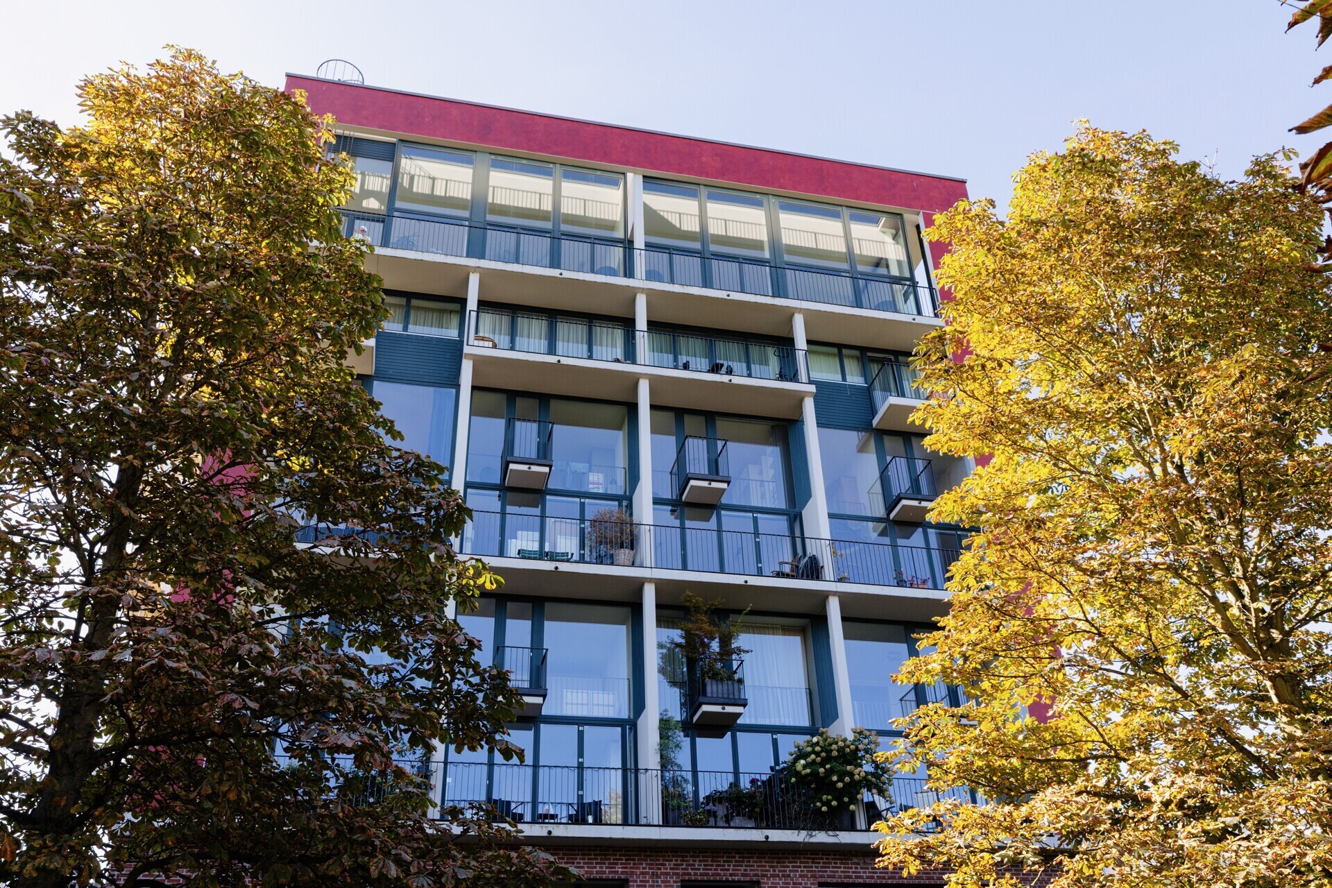 Moderne Architektur am grünen Mainufer