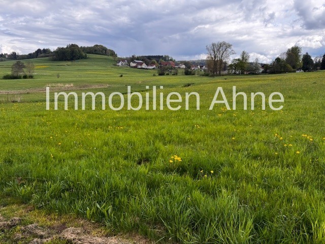 Blick in die Natur