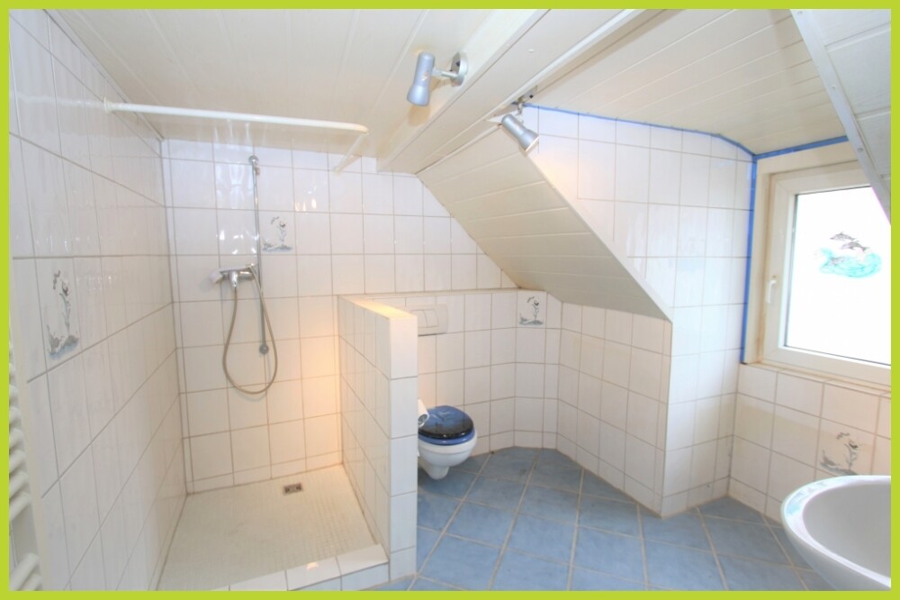 Tageslicht- Badezimmer Dach